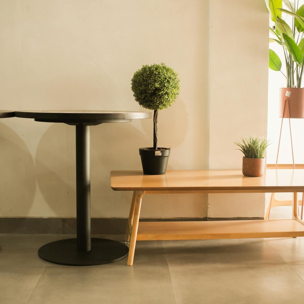 Thimi Low Table